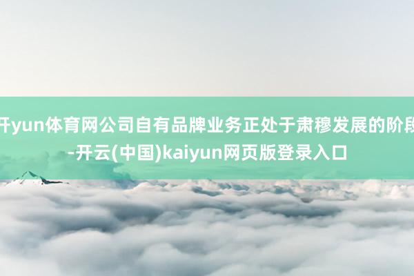 开yun体育网公司自有品牌业务正处于肃穆发展的阶段-开云(中国)kaiyun网页版登录入口