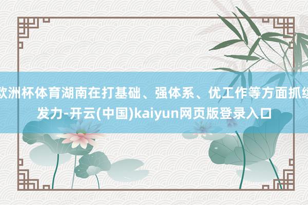 欧洲杯体育湖南在打基础、强体系、优工作等方面抓续发力-开云(中国)kaiyun网页版登录入口