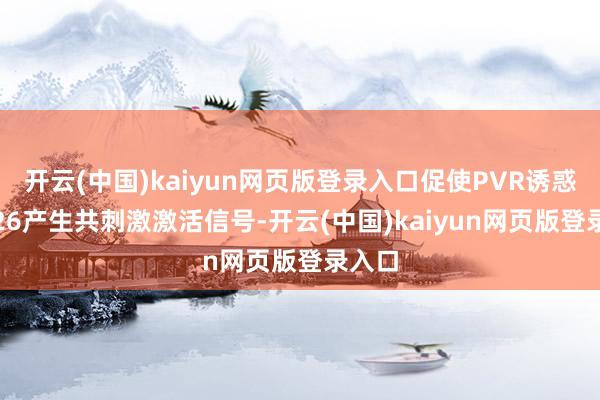 开云(中国)kaiyun网页版登录入口促使PVR诱惑CD226产生共刺激激活信号-开云(中国)kaiyun网页版登录入口