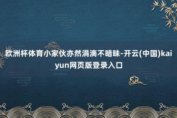 欧洲杯体育小家伙亦然涓滴不暗昧-开云(中国)kaiyun网页版登录入口